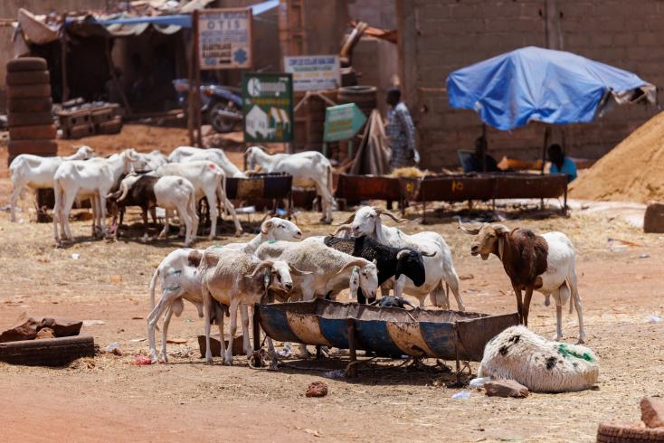 “Nous resterons à Bamako”: une Tabaski sous blocus jihadiste au Mali