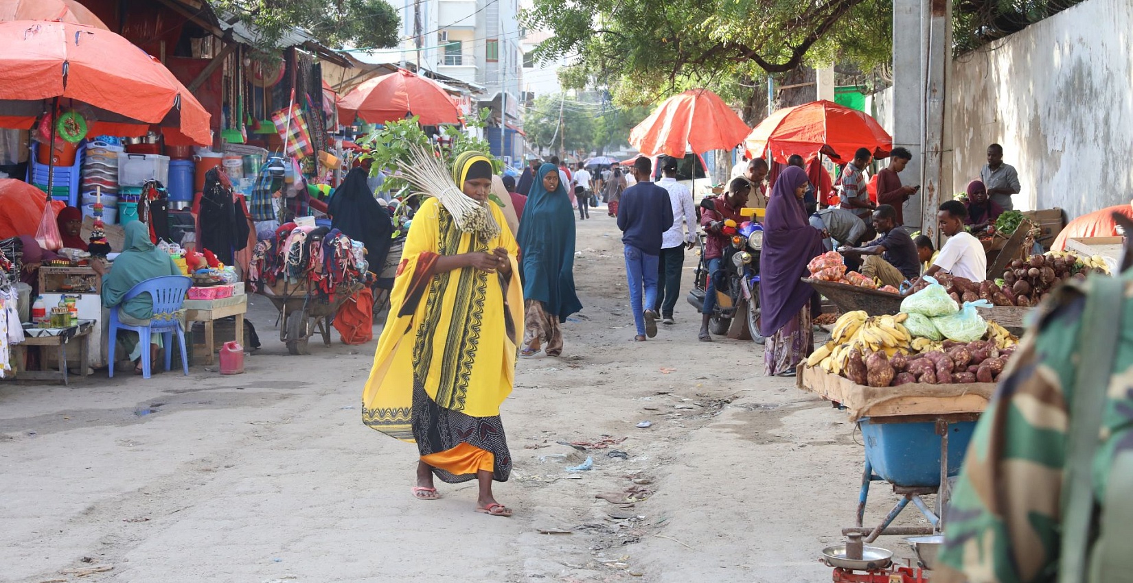 The Horn of Africa: Between Peace and War
