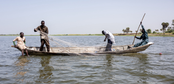 ISWAP’s next frontier: Darak in northern Cameroon